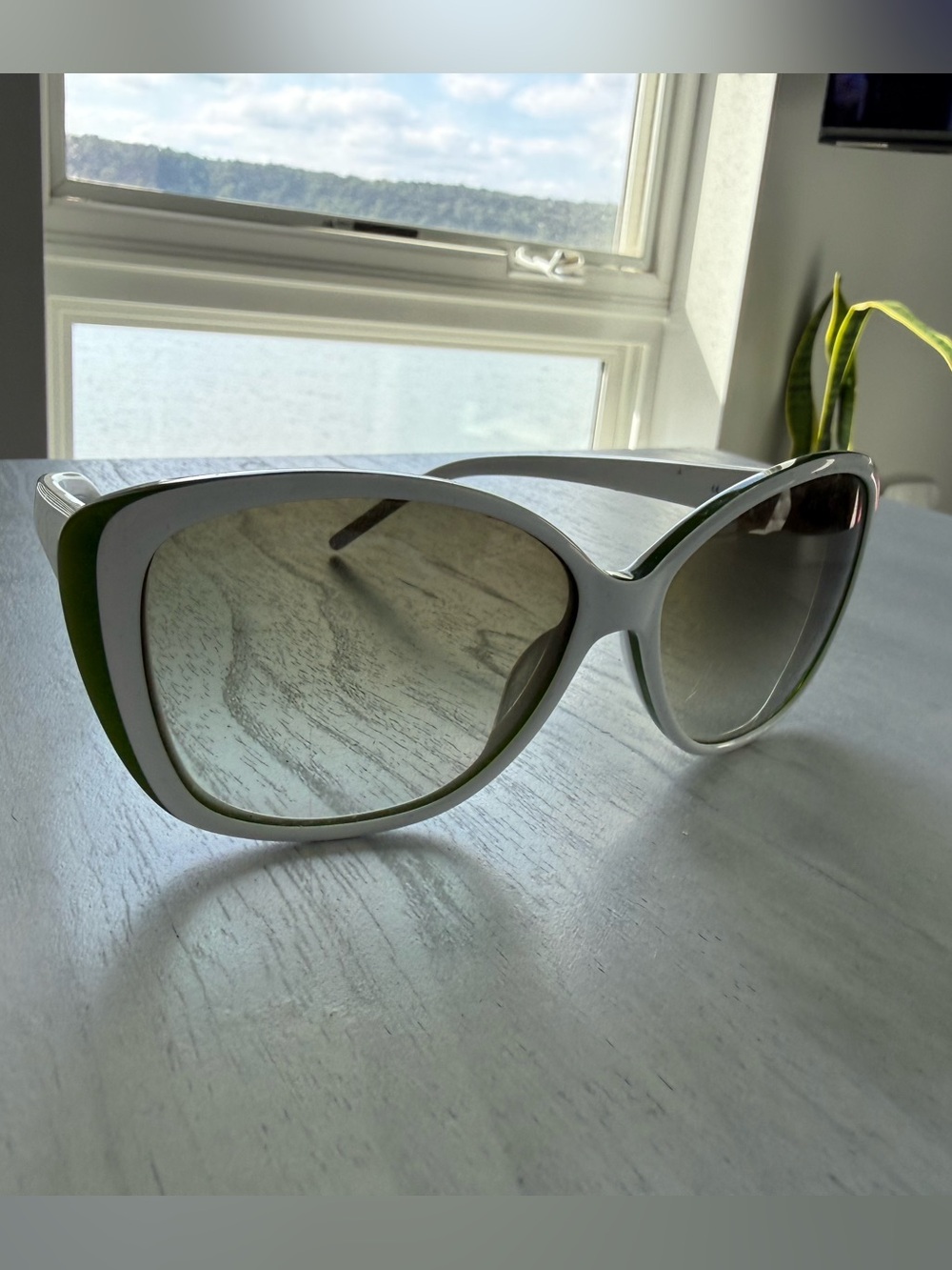 Lacoste White and Green Cat-Eye Women's Sunglasses
